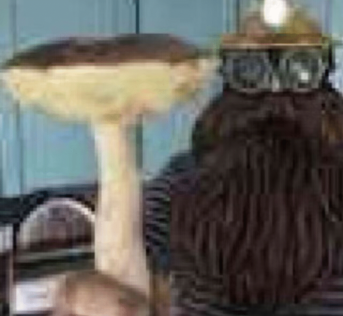 [RJ01407183][同人游戏][官中]蘑菇島的兼職日記 ～客房的祕密～[百度盘][1G]